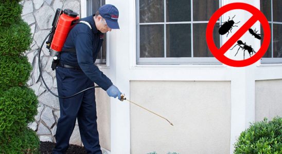 Poligon Akrep İlaçlama böcek ilaçlama ve haşere kontrolü — ilaclama-tr.com